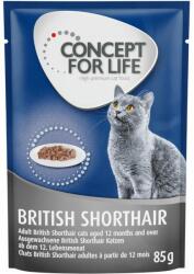 Concept for Life Concept for Life British Shorthair Adult (Ragout) - 24 x 85 g