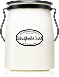 Milkhouse Candle White Driftwood & Coconut Creamery 624 g