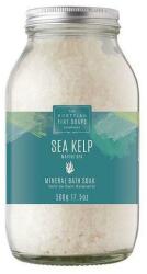 Scottish Fine Soaps Sare de baie - Scottish Fine Soaps Sea Kelp Marine Spa Mineral Bath Soak 500 g