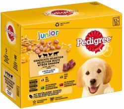 PEDIGREE Pedigree Multipack Junior - Varietăți în gelatină: 48 x 100 g