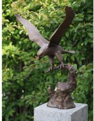 Thermobrass Statuie de bronz moderna Flying Eagle 76x37x56 cm