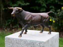 Thermobrass Statuie de bronz moderna Bull 28x14x49 cm