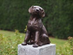 Thermobrass Statuie de bronz moderna Puppy 36x18x26 cm