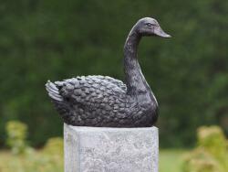Thermobrass Statuie de bronz moderna Swan 16x9x22 cm