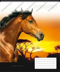 Állatos Lovas Naplemente 2. osztályos vonalas füzet (A5/16-32) (COR_UNLO532V2_1db)