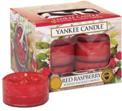 Yankee Candle Red Raspberry 12 x 9,8 g