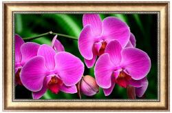 Nagy méretű lila orchidea kreatív gyémántkirakó készlet