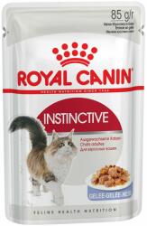 Royal Canin Royal Canin Sensible - Hrană umedă: 12 x 85 g Instinctive în gelatină