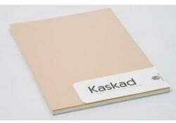 Kaskad pasztell mix A/4 80gr színes fénymásolópapír 5x20ív/csomag P31 (31, 16, 72, 61, 54)