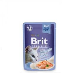  Brit Premium Delicate Fillets in Jelly with Salmon 24x85 g 2.04 kg