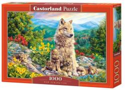 Castorland Új generáció 1000 db-os (104420)