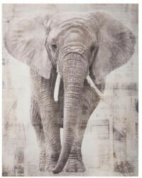 Atmosphera Createur D'interieur Tablou canvas Elefant, 38x48 cm