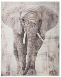 ATMOSPHERA Tablou canvas Elefant, 38x48 cm