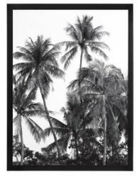 ATMOSPHERA Tablou deco Palms, geam sticla, rama MDF, 32x42 cm