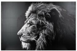 Atmosphera Createur D'interieur Tablou canvas Lion Black, 118x78 cm