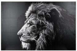 ATMOSPHERA Tablou canvas Lion Black, 118x78 cm