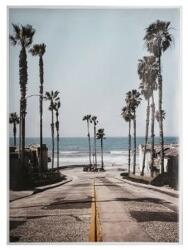 Atmosphera Createur D'interieur Tablou canvas Palm street, 58x78 cm
