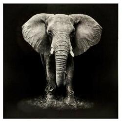 Atmosphera Createur D'interieur Tablou canvas Elefant Black, 100x100 cm