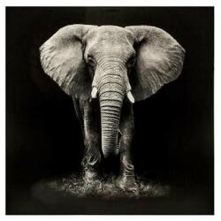 ATMOSPHERA Tablou canvas Elefant Black, 100x100 cm