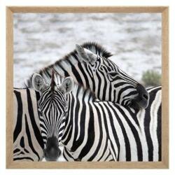 Atmosphera Createur D'interieur Tablou canvas Zebra, 58x58 cm