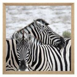 ATMOSPHERA Tablou canvas Zebra, 58x58 cm