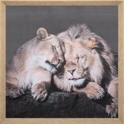 Atmosphera Createur D'interieur Tablou canvas Lions, 58x58 cm
