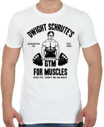 printfashion DS Hit the gym - Férfi póló - Fehér (5110982)