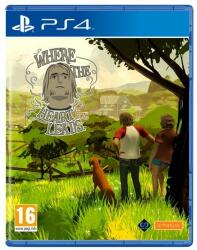 Perp Where The Heart Leads (PS4)