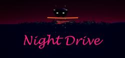 AntiAnti Night Drive VR (PC)