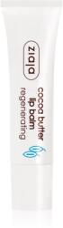 Ziaja Cocoa Butter balsam de buze cu unt de cacao 10 ml