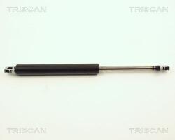 TRISCAN Amortizor portbagaj TRISCAN 8710 11201 (8710 11201) - automobilus