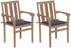 vidaXL 2 db tömör tíkfa kerti szék antracitszürke párnákkal (3062208/3062209)