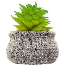 Pami Accessories Planta suculenta artificiala tip magnet frigider Pami Flower 6x3.5 cm Verde F419-293-2
