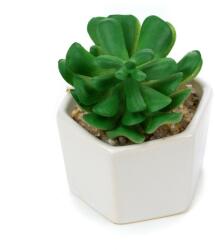 Pami Accessories Planta suculenta artificiala in ghiveci F419-308-9 Pami Flower 5x6.5 cm Verde