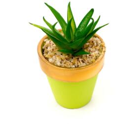 Pami Accessories Planta suculenta artificiala in ghiveci F419-303-7 Pami Flower 7x7 cm Verde