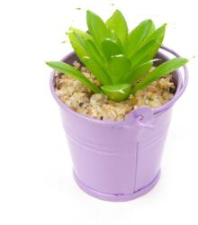 Pami Accessories Planta suculenta artificiala in ghiveci F419-298-3 Pami Flower 5x5 cm Lila