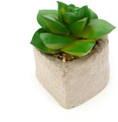 Pami Accessories Planta suculenta artificiala in ghiveci F419-296-4 Pami Flower 4x5.5 cm Verde