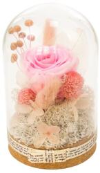 Pami Accessories Trandafir criogenat in cupola de sticla Pami Flower 12.5x8 cm Roz