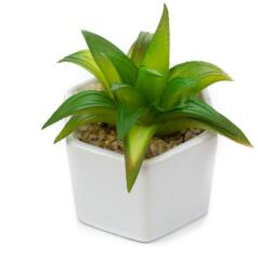 Pami Accessories Planta suculenta artificiala in ghiveci F419-308-3 Pami Flower 5x6.5 cm Verde