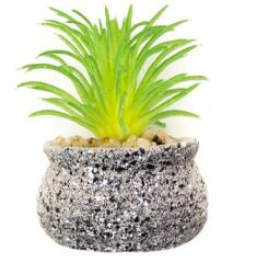 Pami Accessories Planta suculenta artificiala tip magnet frigider Pami Flower 6x3.5 cm Verde F419-293-4