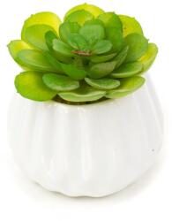 Pami Accessories Planta suculenta artificiala in ghiveci F419-300-6 Pami Flower 5x7.5 cm Verde