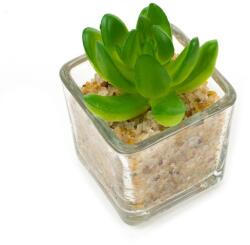 Pami Accessories Planta suculenta artificiala in ghiveci F419-297-3 Pami Flower 5x5.5 cm Verde
