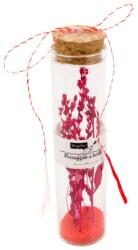 Pami Accessories Mesaj in sticla cu flori uscate Pami F919-8, 12x3 cm, rosu