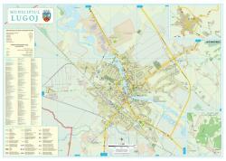  Harta Municipiului Lugoj TM - șipci de lemn