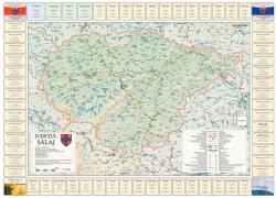  Harta județului Sălaj cu primării