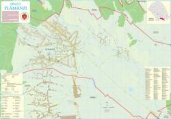 Harta Orașului Flămânzi BT - șipci de lemn