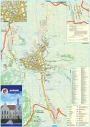  Harta Municipiului Caransebeș CS- șipci de lemn