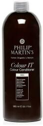 Philip Martin's Balsam pentru tonifierea părului, 980 ml - Philip Martin's Color It Color Conditioner Orange