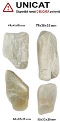 Palm Stone Piatra Lunii Alba Naturala - 44-79 x 32-41 x 16-28 mm - ( XXL )
