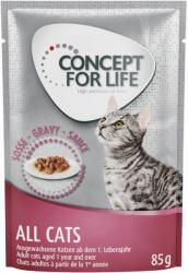 Concept for Life 12x85g Concept for Life All Cats szószban nedves macskatáp